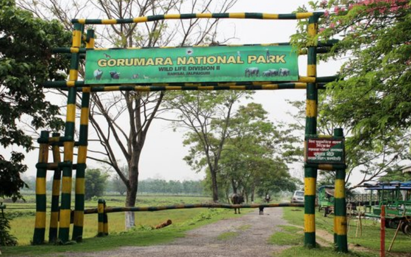 Gorumara and Jaldapara