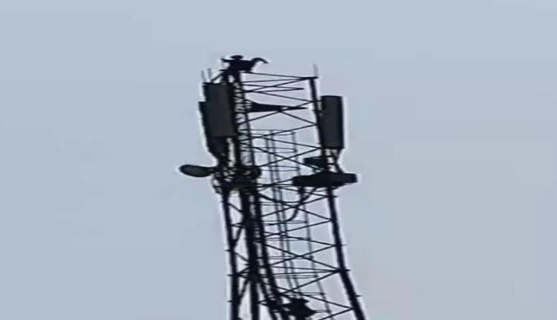 Madhyapradesh